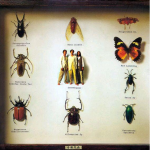 护士长双乳被揉的又大又硬
