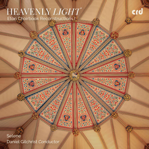 护士长双乳被揉的又大又硬
